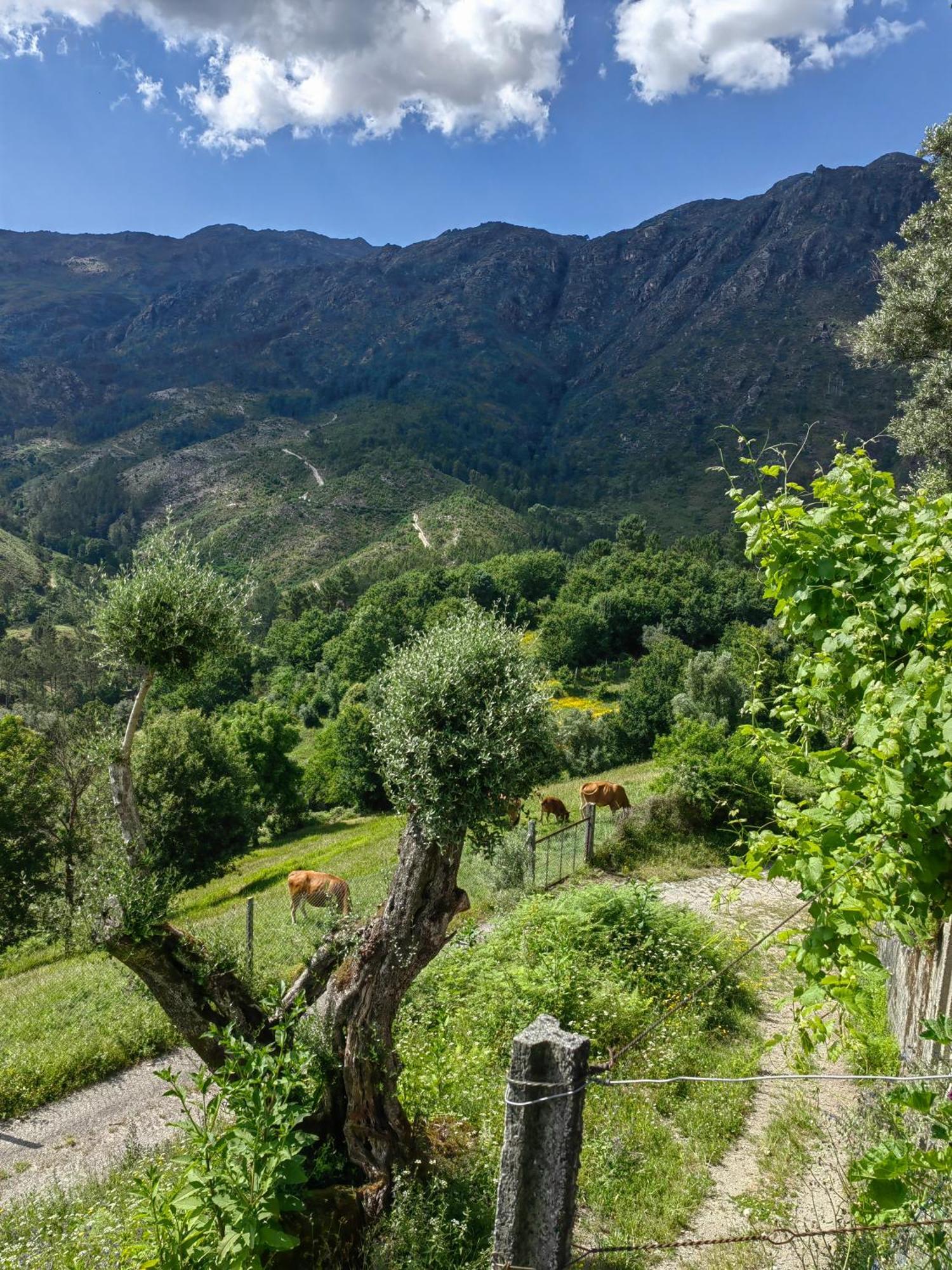 Vale Das 7Lagoas Geres Dış mekan fotoğraf