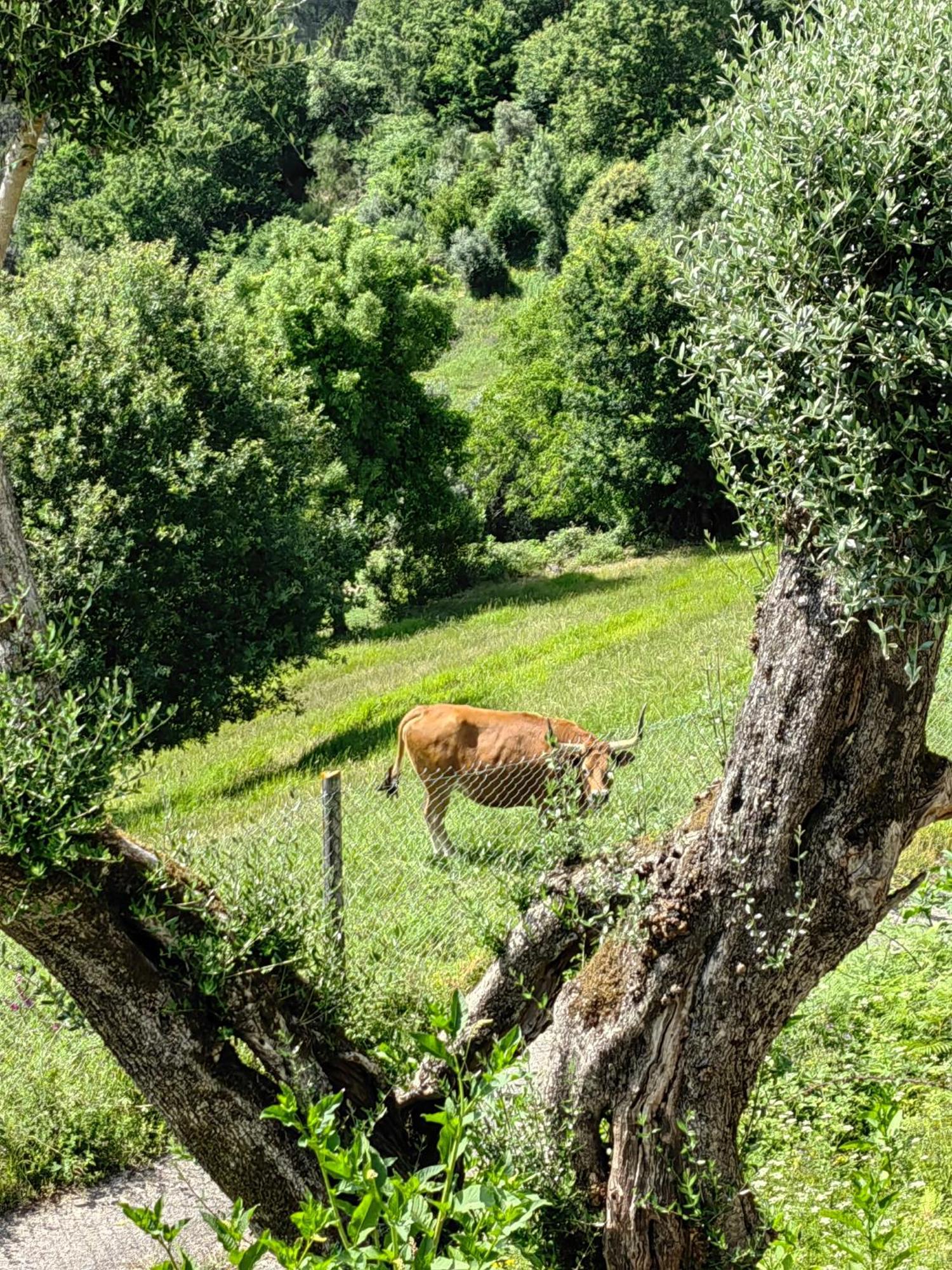 Vale Das 7Lagoas Geres Dış mekan fotoğraf